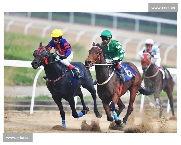 围绕武清赛车赛事打造城市速度文化盛宴探索产业发展新路径之旅程